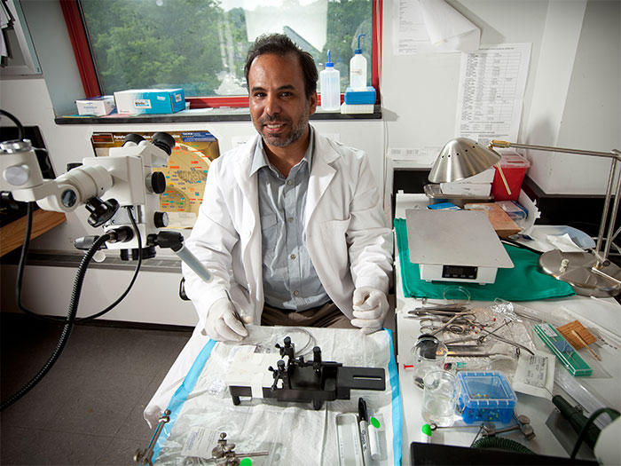 [video] Zaghloul Ahmed awarded 2011 NYC BioAccelerate Prize For Neural Stimulation System