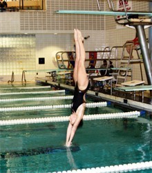 DOLPHINS SPLIT IN SWIMMING AND DIVING VS. LEHMAN