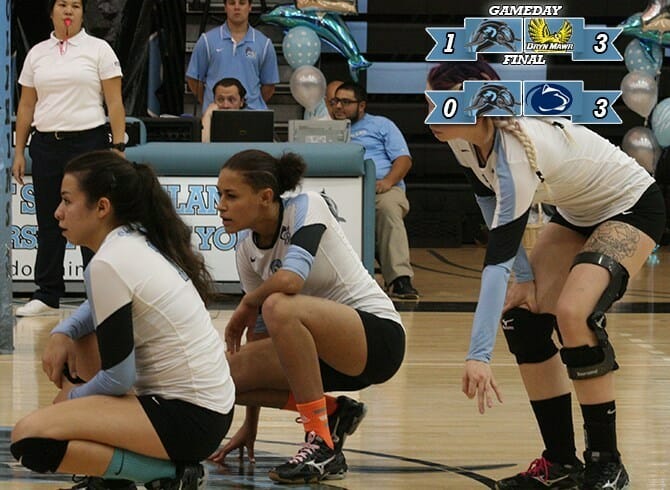 DOLPHINS FALL 3-1 AND 3-0 IN TRI-MATCH AGAINST BRYN MAWR AND PENN STATE – ABINGTON