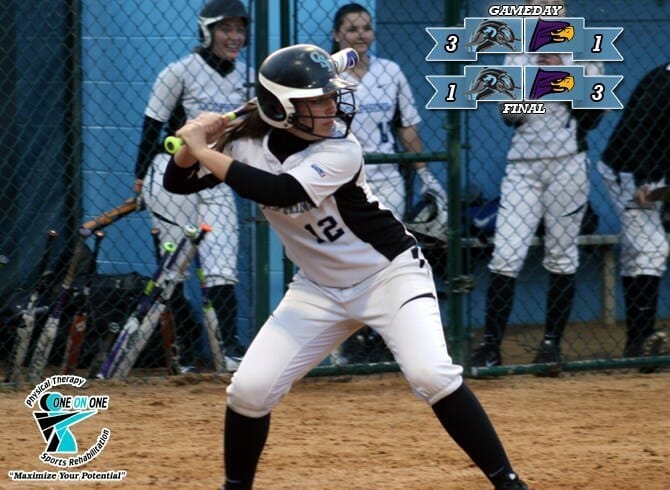 DOLPHINS & HAWKS SPLIT CUNYAC DOUBLE; STREAK SNAPPED AT NINE