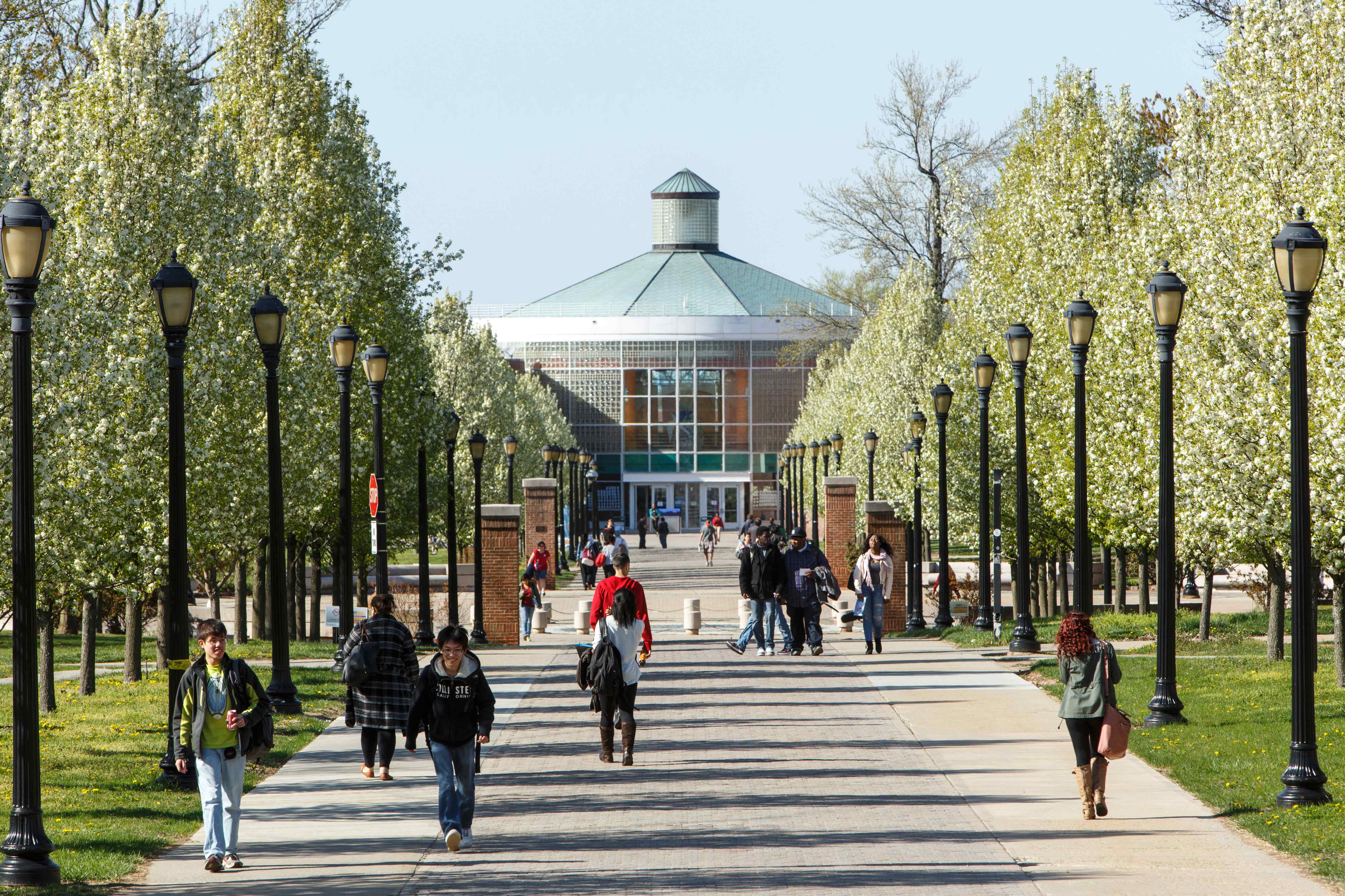 Forbes’ Ranking of CSI as a Top College Gets Highlighted in Numerous Publications