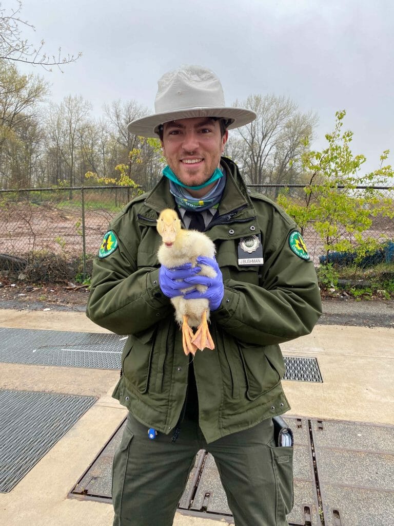 CSI Master’s Student and Urban Park Ranger Explains the Changing ...