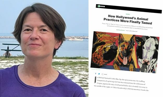 Dr. Cynthia Chris Interviewed in “The Ringer”