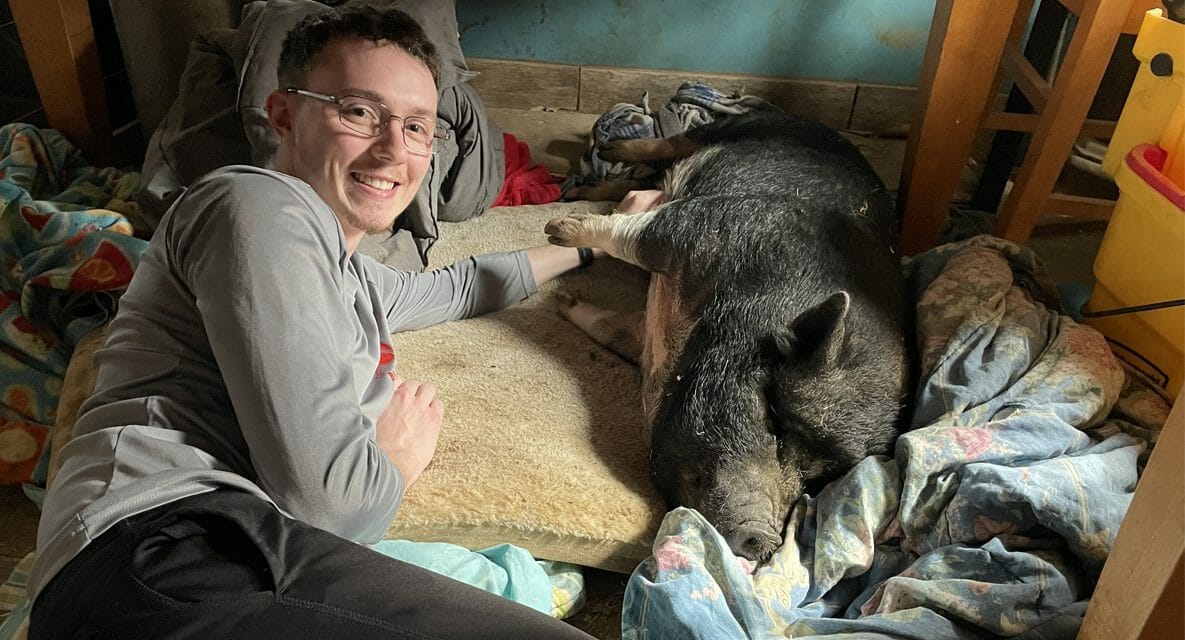 For Recent Grad Eric Benedetto, Remote Learning Was Perfect for Pot-Bellied Pigs