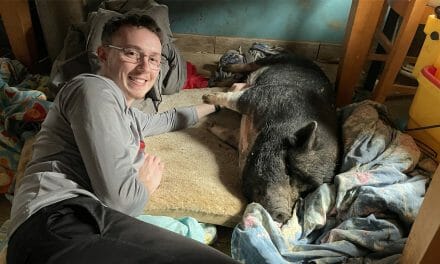 For Recent Grad Eric Benedetto, Remote Learning Was Perfect for Pot-Bellied Pigs