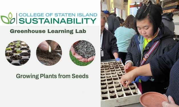 CSI Sustainability Kicks Off Semester with Successful Planting Event