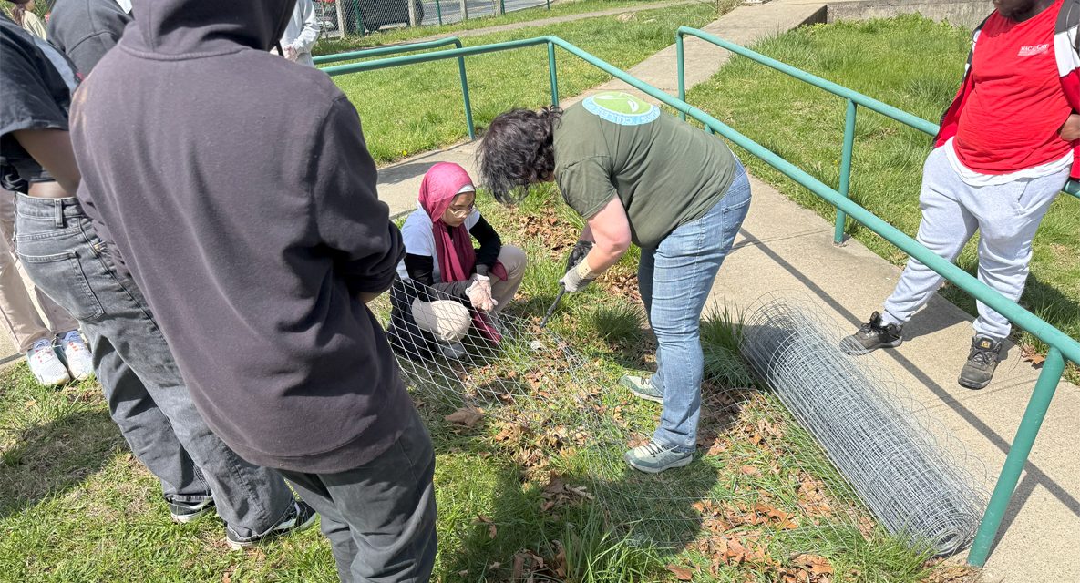 Arbor Day Tree Planting: Learn How to Plant Your Own Tree
