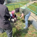 Arbor Day Tree Planting: Learn How to Plant Your Own Tree