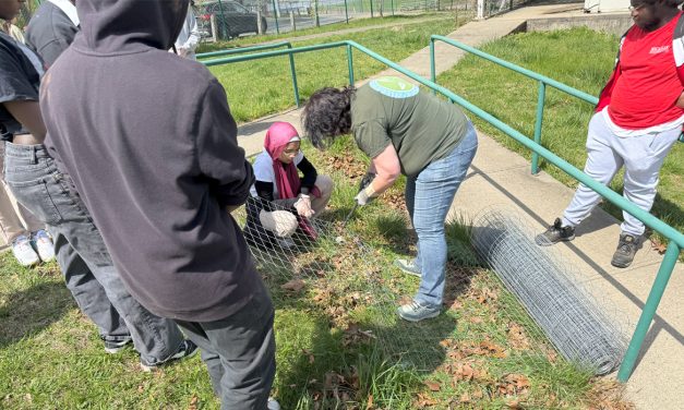 Arbor Day Tree Planting: Learn How to Plant Your Own Tree