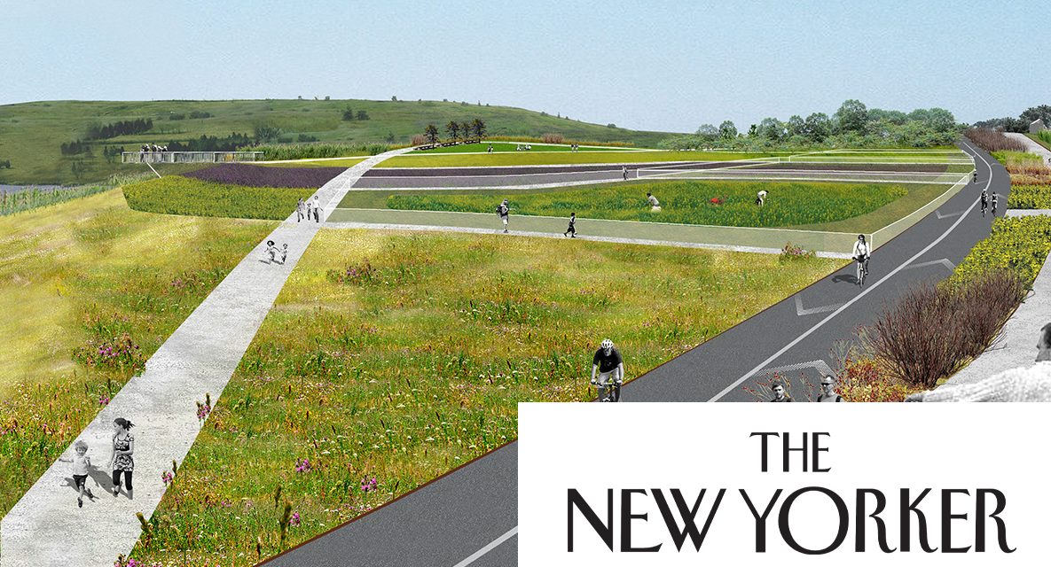CSI Alumnus José Ramírez-Garofalo Featured in The New Yorker as Freshkills Park Takes Flight