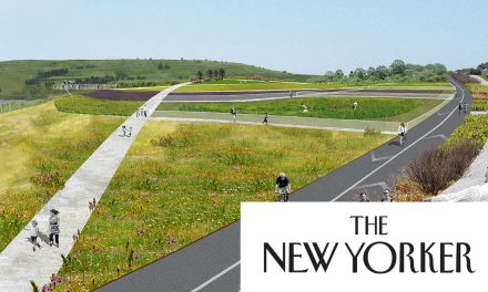 CSI Alumnus José Ramírez-Garofalo Featured in The New Yorker as Freshkills Park Takes Flight