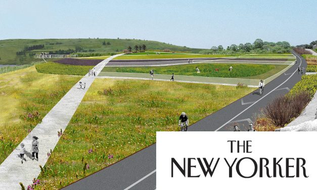 CSI Alumnus José Ramírez-Garofalo Featured in The New Yorker as Freshkills Park Takes Flight
