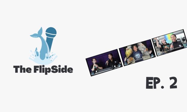 Check Out “The Flipside” Episode 2 – Premiering Today on CSI-TV