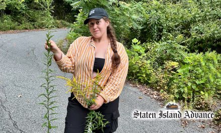 CSI Graduate Student Kwynn Hogan Featured in Staten Island Advance Article on Early Sign of Spring