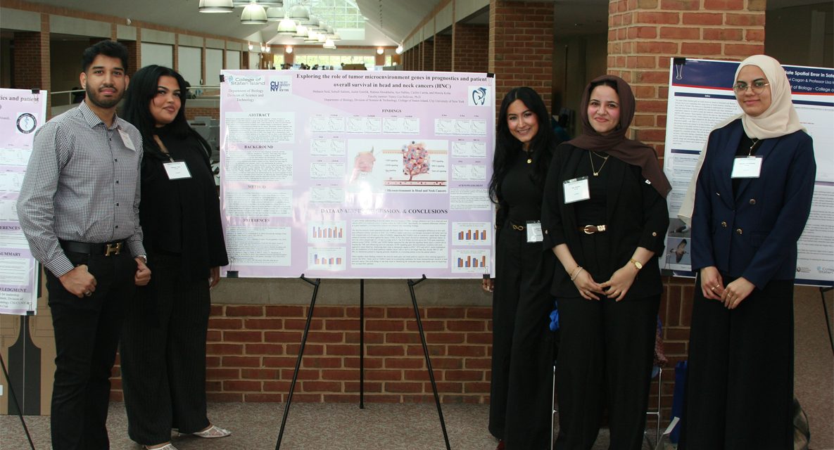 See It: CSI Undergraduate Conference Showcases Student Excellence