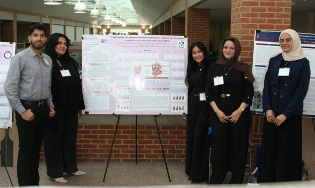 See It: CSI Undergraduate Conference Showcases Student Excellence